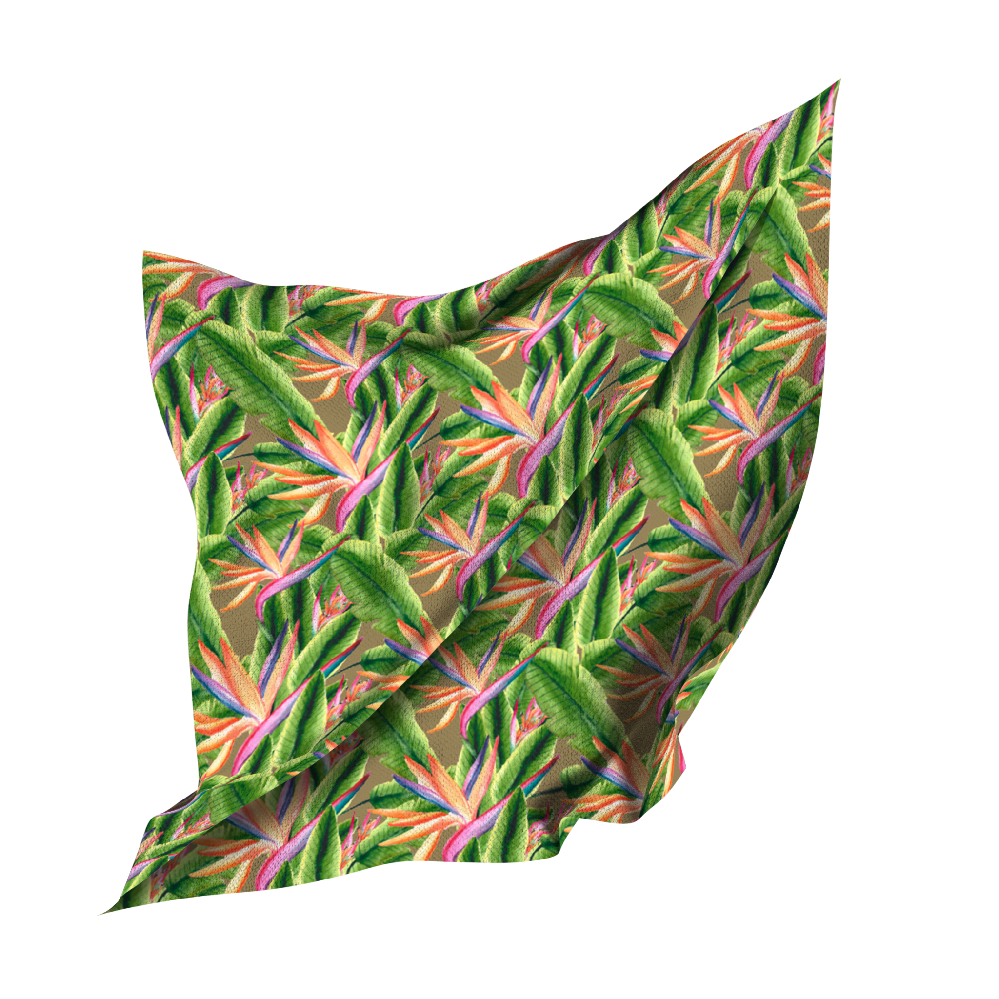 orquidea